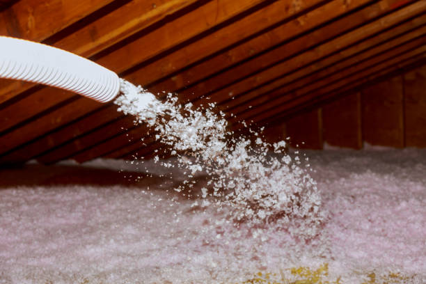 Best Insulation Maintenance and Repair in Champlin, MN